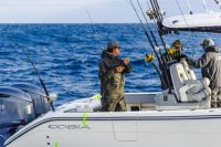 Image for COBIA  285 CC OPEN 0