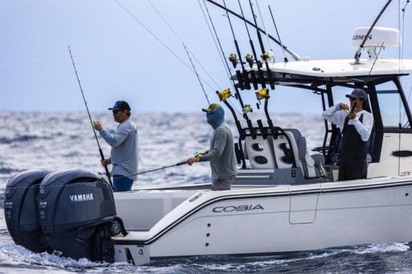 COBIA  285 OPEN image