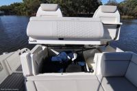 Image for 2021 Sea Ray 290 SDX 31