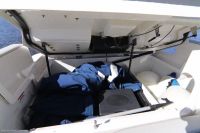 Image for 2021 Sea Ray 290 SDX 32