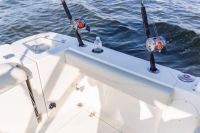 Image for COBIA 240 DC 26