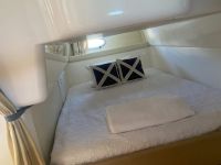 Image for 2006 Sunrunner 3700 LE Cruiser 7