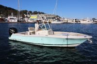 Image for Chris Craft 23 Catalina 1