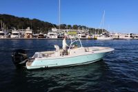 Image for Chris Craft 23 Catalina 2