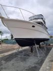 Image for 1987 Riviera 35 Open Flybridge 12
