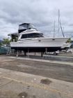 Image for 1987 Riviera 35 Open Flybridge 13