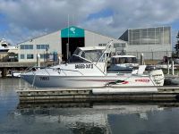 Image for 2013 Stacer 649 Ocean Ranger 1