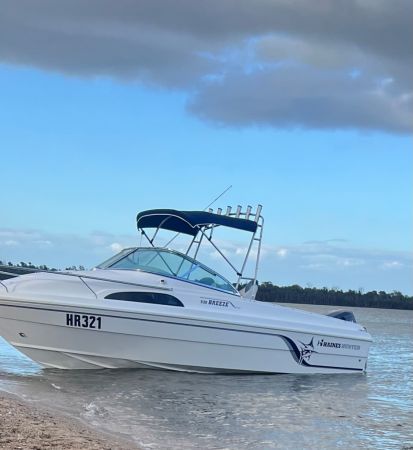 2003 Haines Hunter 530 BREEZE Cabin Boat image