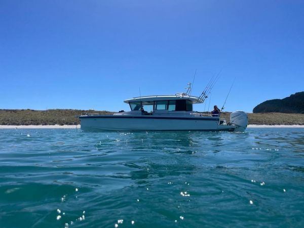 2017 Axopar 37 XC Cross Cabin image