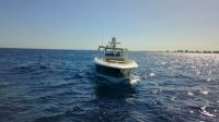 Image for 2019 Boston Whaler 420 Outrage 2