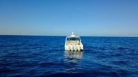 Image for 2019 Boston Whaler 420 Outrage 5