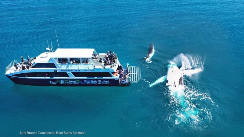 Image for MARINE BUSINESS Marine Business 1