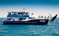Image for MARINE BUSINESS Marine Business 3