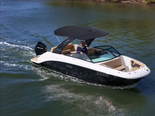 2022 Sea Ray 250 SDX OB image