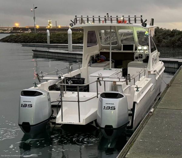 1989 Devil Cat 6.6 image