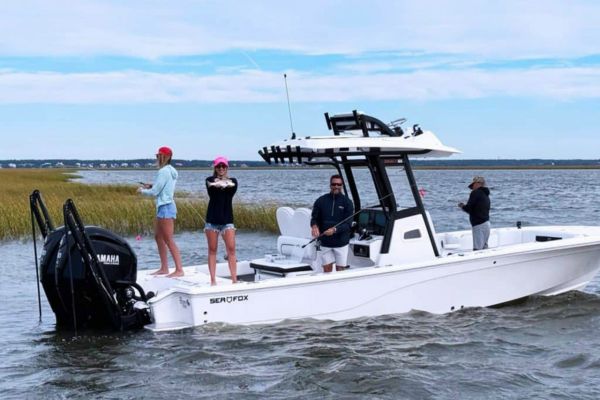 2026 Sea Fox 282 Hybrid Lt Monohull image