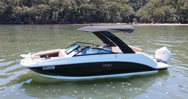 2022 SEA RAY SDX250  OB image