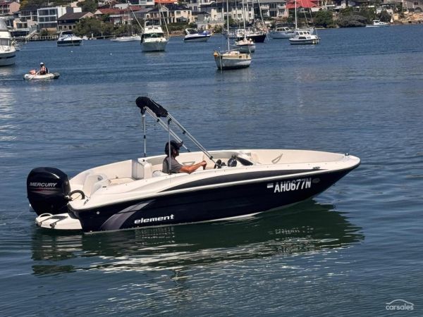 2013 Bayliner ELEMENT image