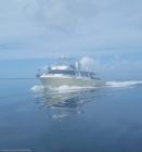 Mobile Enquiry Form - Image