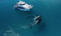 Image for MARINE BUSINESS Marine Business 2