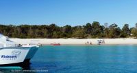 Image for MARINE BUSINESS Marine Business 14