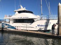 Image for MARINE BUSINESS Marine Business 19