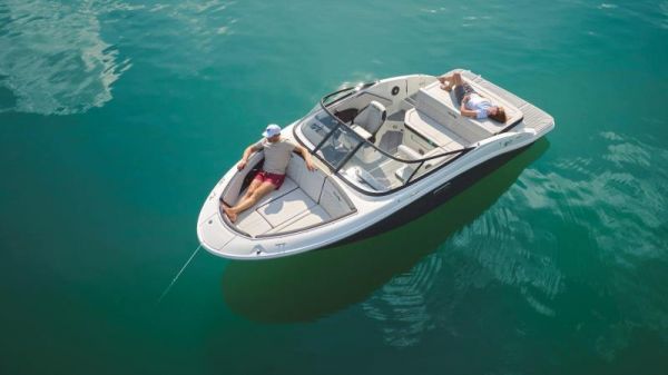 2025 SEA RAY SPX190 image