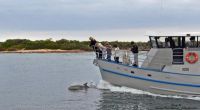 Image for MARINE BUSINESS Marine Business 3