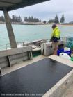 Image for 1985 Custom Ex Cray Boat 5