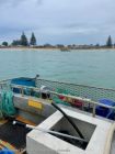 Image for 1985 Custom Ex Cray Boat 6