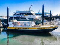 Mobile Enquiry Form - Image