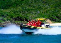 Mobile Enquiry Form - Image