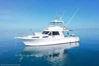 Mobile Enquiry Form - Image