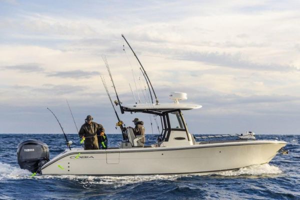 COBIA  285 OPEN image