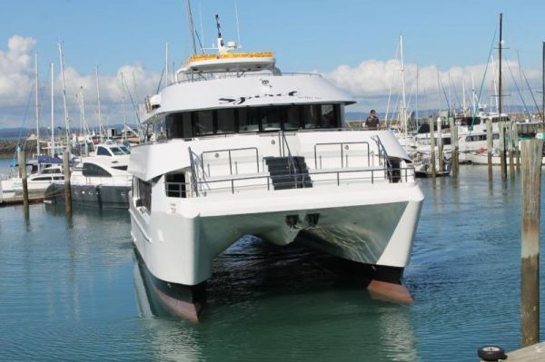 2008 Custom Whale Watching Business For Sale image