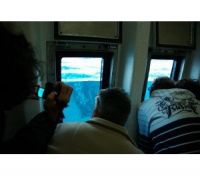 Image for 2008 Custom Whale Watching Business For Sale 5