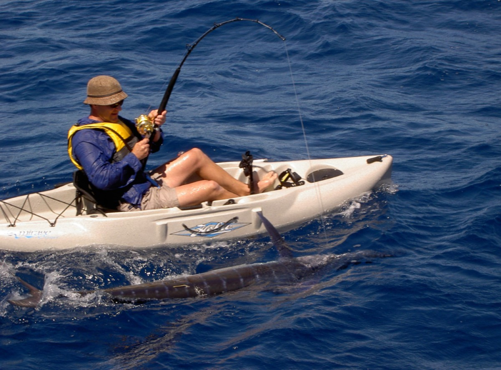 Rob Paxevanos tagged the world's first kayak marlin in Eurobodalla.