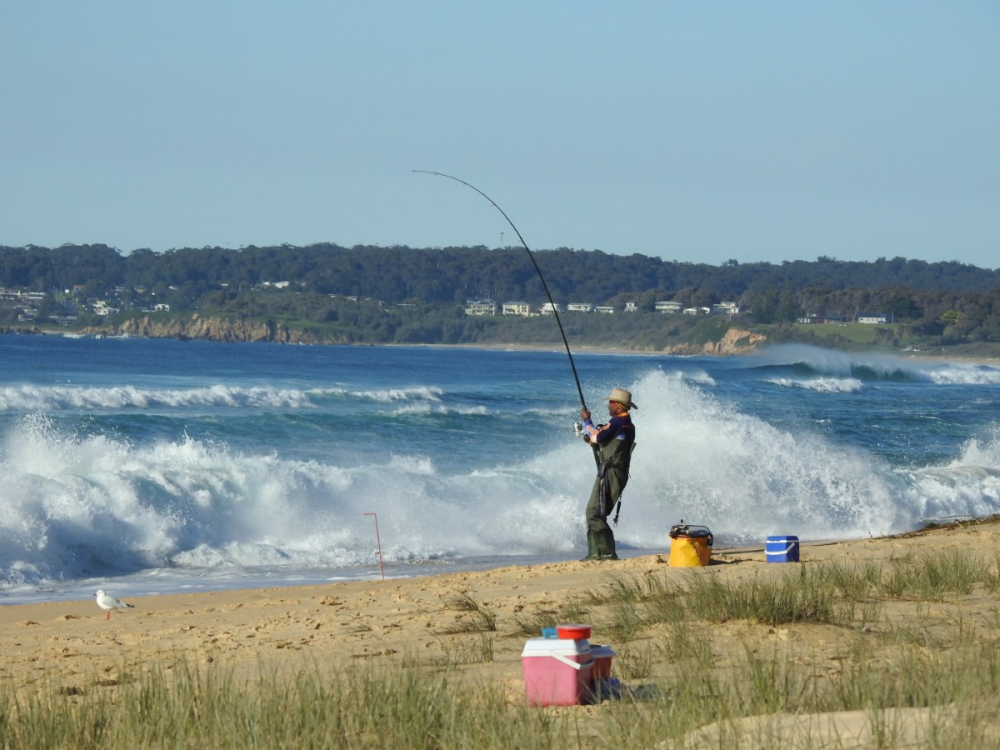 Surf fishing in the Eurobodalla.