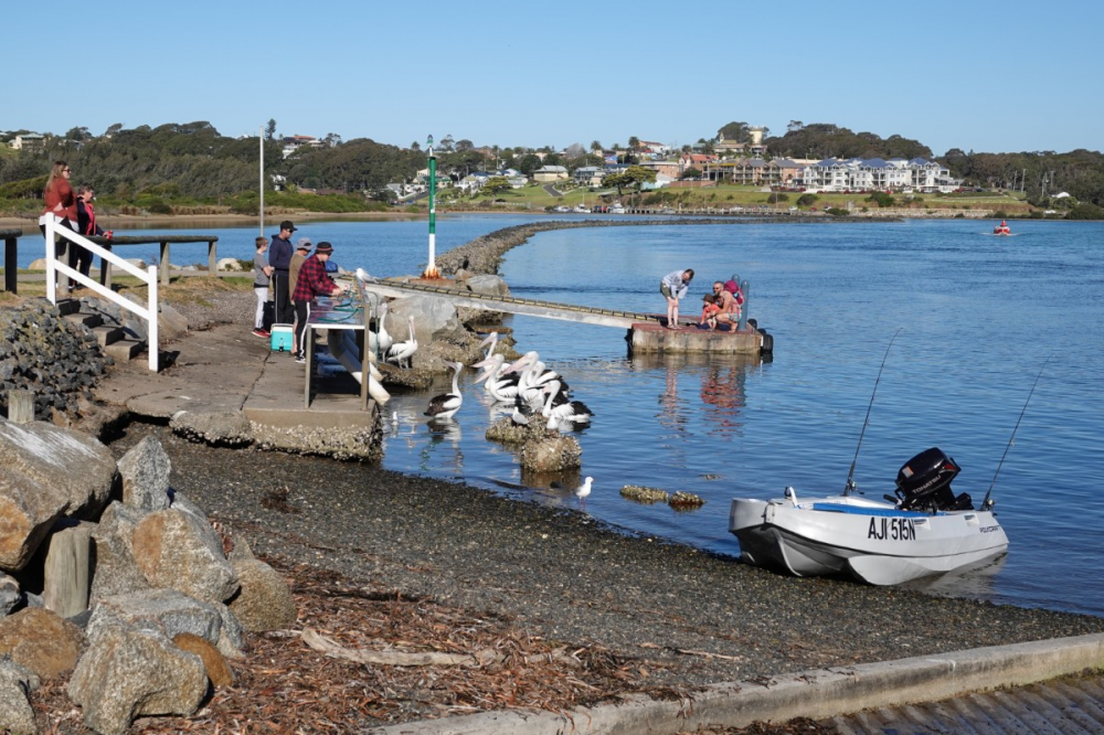 Cleaning fish at Narooma.