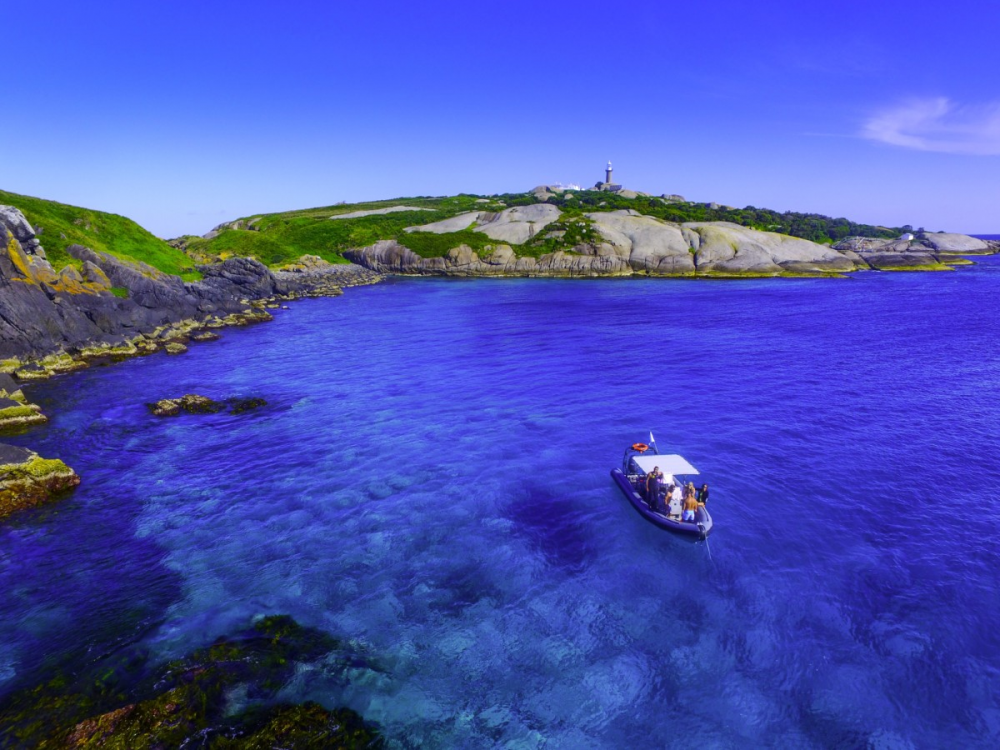 Diving at Montague Island.