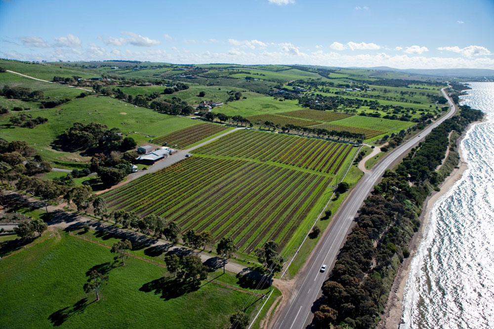 Take the time to meet the team at the Boston Bay Winery