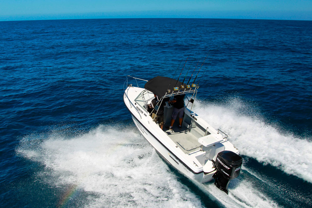 Let's go fishing!