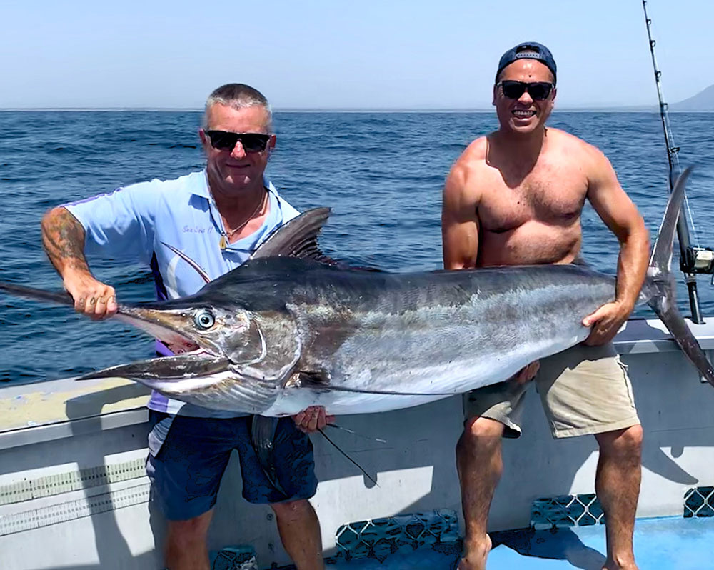 Marlin - Image thanks to Trial Bay Fishing Charters