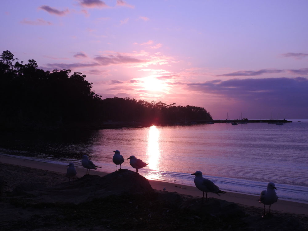 Eden has mostly sheltered waters and is close to the Vic/NSW border