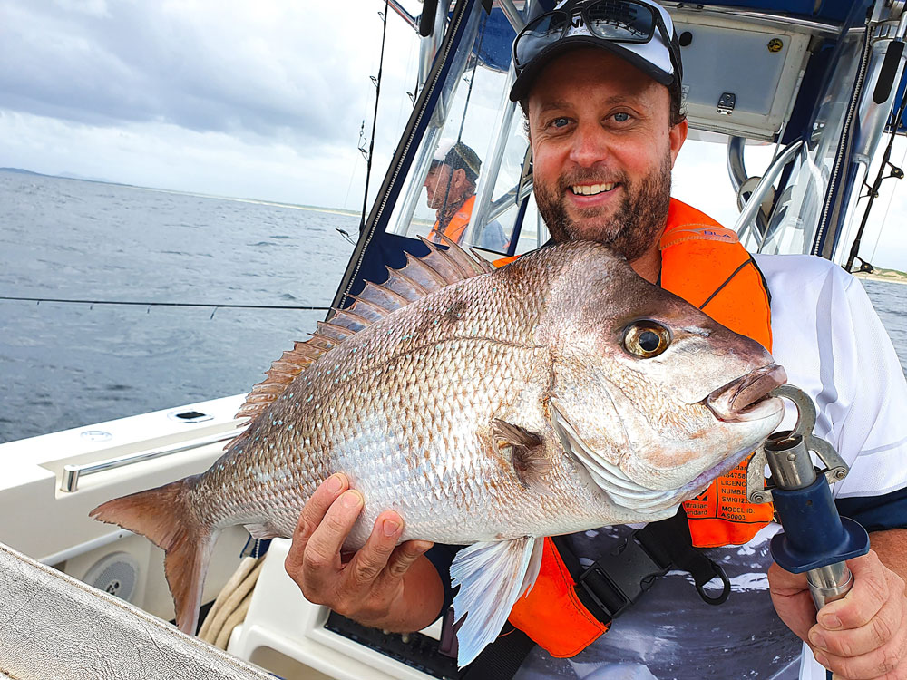 Snapper are common on the reefs around South West Rocks