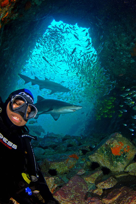 IMAGE THANKS TO SOUTH WEST ROCKS DIVE CENTRE