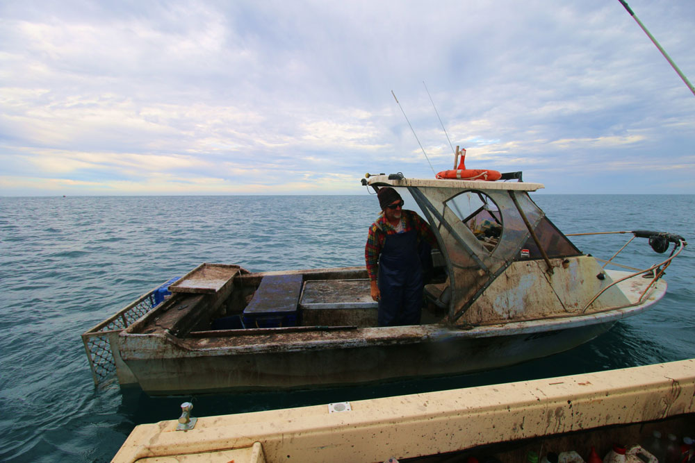 You will know the pro squid boats instantly—most of them are black with ink!