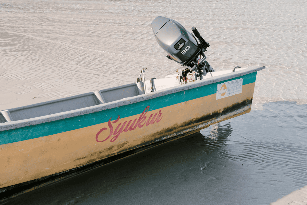 Suzuki DT30 Outboard Engine Review